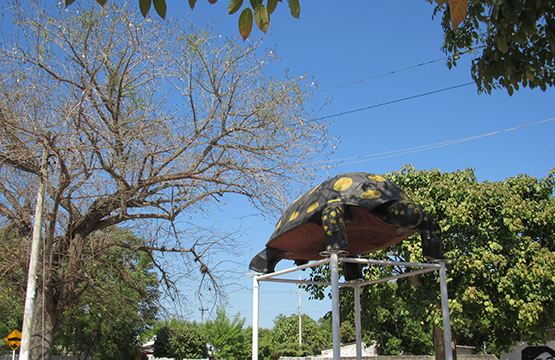 El nombre de Ponedera se debe que era el lugar de desove de las hicoteas, tortugas e iguanas