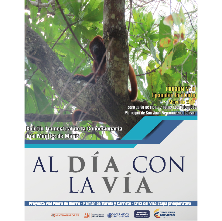 Boletín trimestral 6