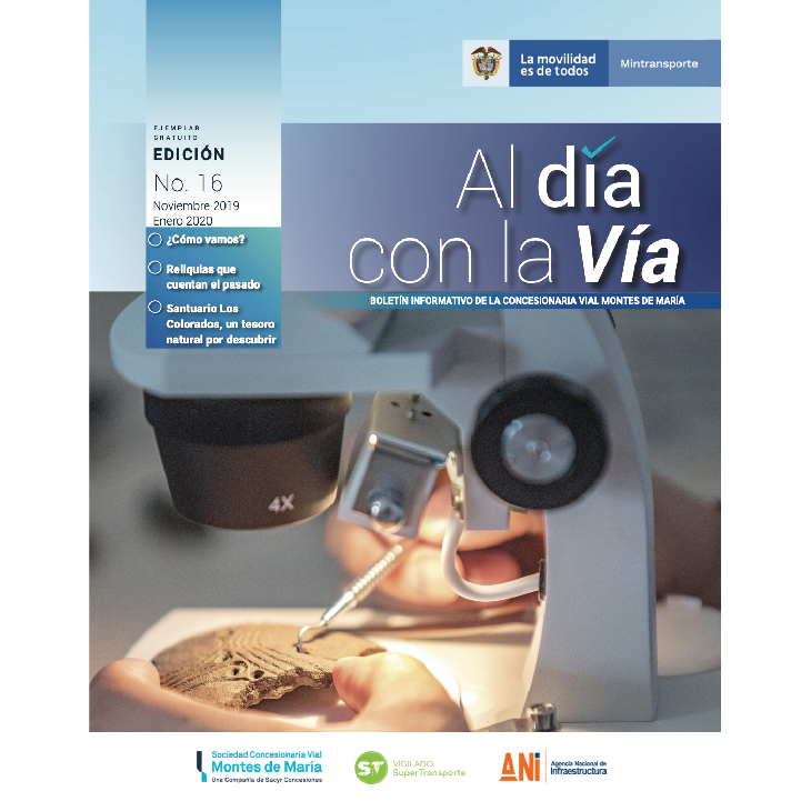 Boletín trimestral 16